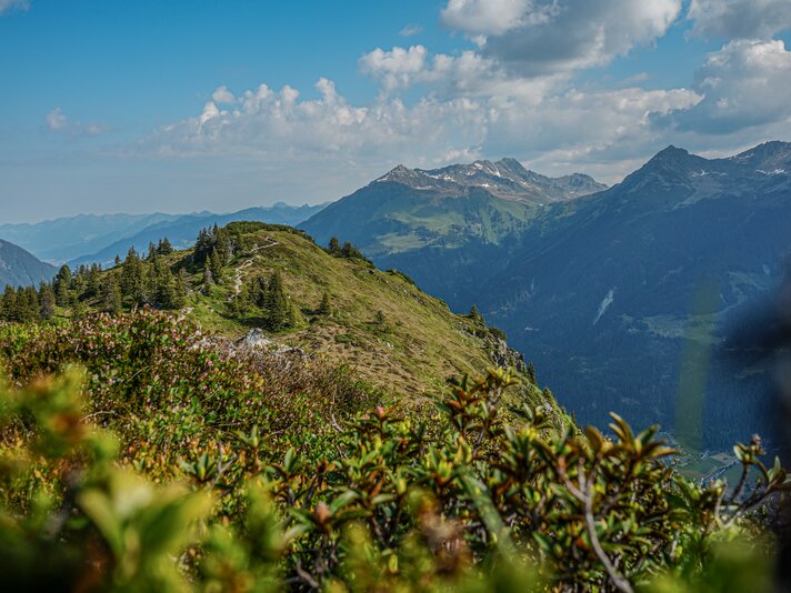 Sommer - Silvretta Montafon | © Silvretta Montafon  Der Sommer in der Silvretta Montafon  | © Silvretta Montafon