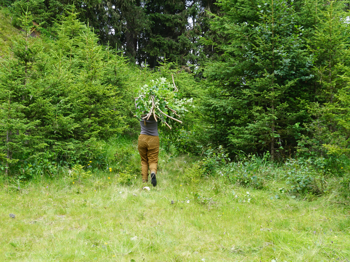 Person trägt Unkraut auf Schulter im Wald bei Gmewerch 26 in der Silvretta Montafon | © Silvretta Montafon - Katharina Tagwerker