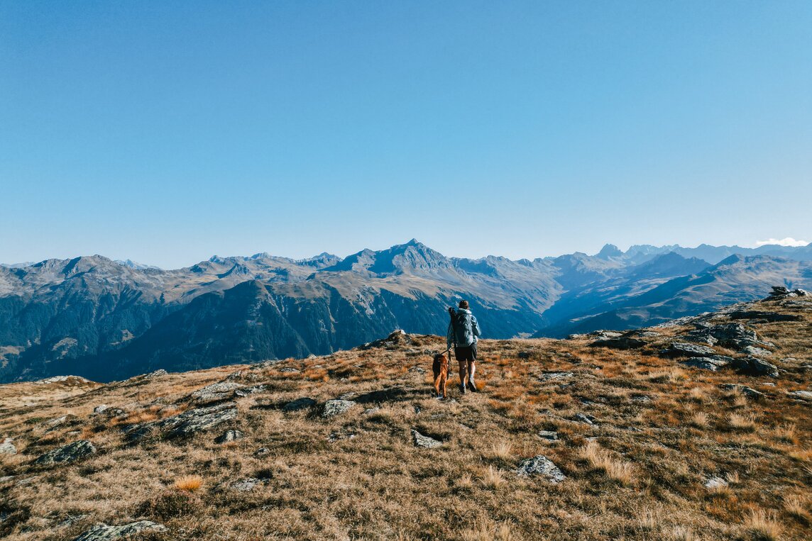 Berglandschaft - Silvretta Montafon | © Silvretta Montafon - Vanessa Strauch Mensch geht mit Hund in einer Berglandschaft in der Silvretta Montafon | © Silvretta Montafon - Vanessa Strauch