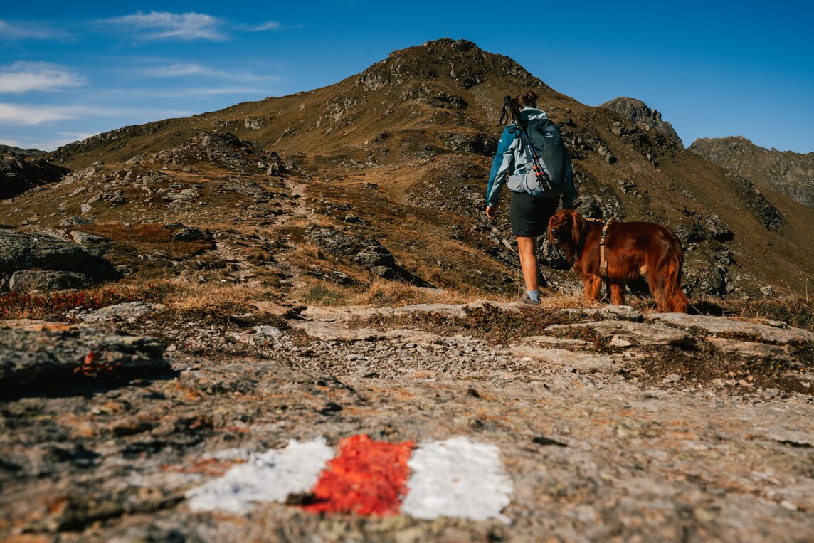 Wandern - Silvretta Montafon | © Silvretta Montafon - Vanessa Strauch Mensch mit Hund bei der Wanderung in der Silvretta Montafon | © Silvretta Montafon - Vanessa Strauch