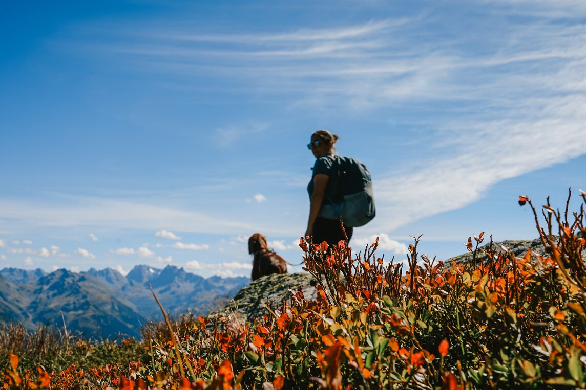 Wandern - Silvretta Montafon  | © Silvretta Montafon - Vanessa Strauch Mensch mit Hund beim wandern in der Silvretta Montafon  | © Silvretta Montafon - Vanessa Strauch