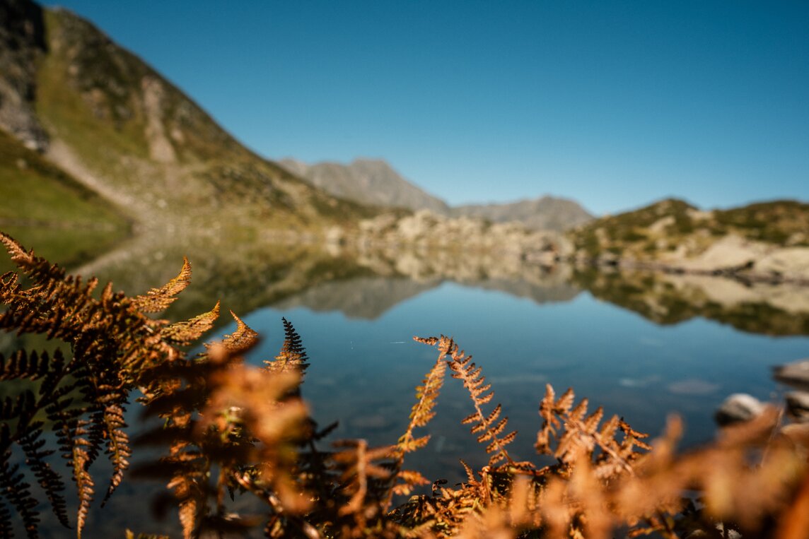 Alpgues - Silvretta Montafon | © Silvretta Montafon - Vanessa Strauch  Bergsee in der Silvretta Montafon | © Silvretta Montafon - Vanessa Strauch