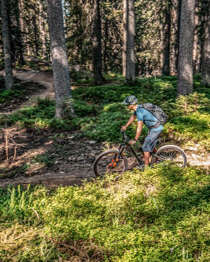 Ein Biker fährt im Wald im Bikepark am Hochjoch in der Silvretta Montafon. | © Frederike Weber - Silvretta Montafon