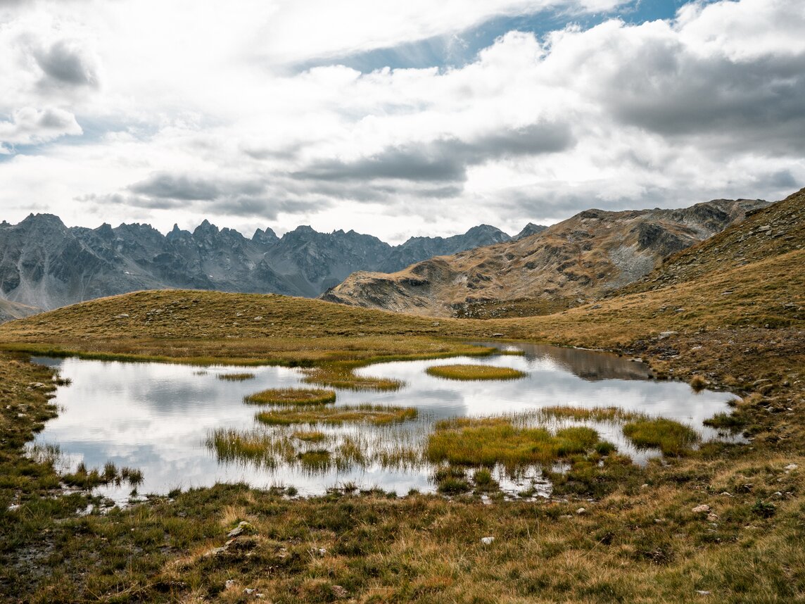 Natur beim Wandern - Silvretta Montafon | © Silvretta Montafon - Vanessa Strauch Die Natur beim Wandern entlang des Madrisella Gipfelweges in der Silvretta Montafon.  | © Silvretta Montafon - Vanessa Strauch