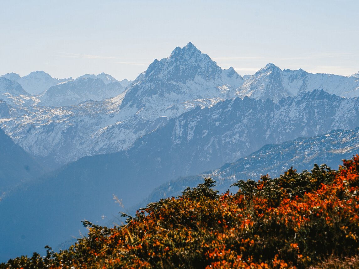 Herbstwanderung Gantakopf - Silvretta Montafon | © Silvretta Montafon - Vanessa Strauch Rote Blüten und die Berge im Hintergrund bei einer Herbstwanderung in der Silvretta Montafon | © Silvretta Montafon - Vanessa Strauch