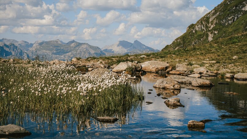 Die Natur an einem Bergsee auf 2.000 Metern Seehöhe am Hochjoch in der Silvretta Montafon. | © Silvretta Montafon - Vanessa Strauch