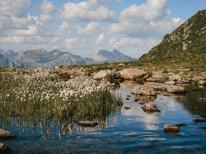 Die Natur an einem Bergsee auf 2.000 Metern Seehöhe am Hochjoch in der Silvretta Montafon. | © Silvretta Montafon - Vanessa Strauch